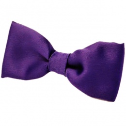 Boys Cadbury Purple Satin Plain Dickie Bow Tie on Elastic